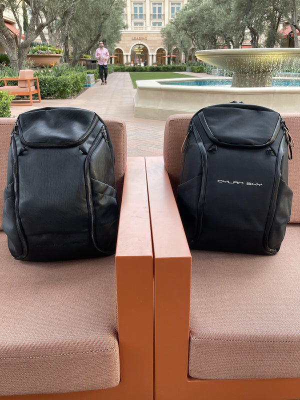 Dylan Sky Laptop Everyday Backpack. DTLA professional vs LAGUNA sporty everyday backpacks